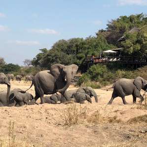 Azura_Benguerra/Jock_Safari_Lodge_Premium/elephants_in_the_riverbed_jsf