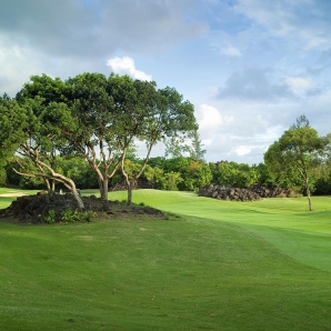 GOLF/Mauritius/belle-mare-plage-links-golf-course-5