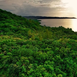 Valtiot/Palau/2020/Palau-Mangrovemetsat