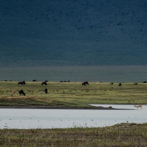 Valtiot/Tansania/2020/Aventura-Tansania-Ngorongoro23