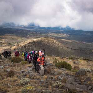 Kilimanjaron vaellusmatka (5 895 m), safari ja Sansibar