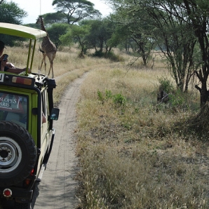 021-tansanian-safari-ja-sansibar/d2/02-Safariautomme-Tarangire-Tansania