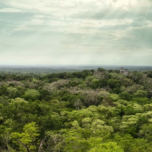 069-keski-amerikan-pohjoisosa/Tikal-Guatemala-2