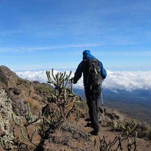 122-kilimanjaro/03-Rongai-reitti-Kilimanjaro-Tansania