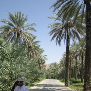 Abu_Dhabi_ja_Oman/10_Nizwa
