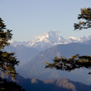 Bhutan-luksus/Bhutan-Mountain-Pines-2