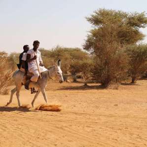 Djibouti,_Eritrea_ja_Sudan/matkakansio/2018-Sudan-2214