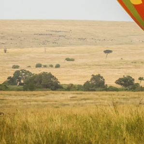Kenian_suursafari/Aventura_Kenia_Masai-Mara_2