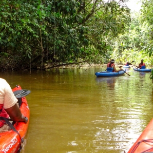 Suriname_Guyana_Trinidad_Tobago_Curacao/BD-Kayak-4
