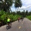 Etelä-Thaimaan pyöräilymatka