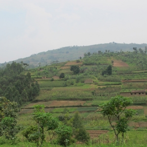 Uganda_Ruanda_kiertomatka/Ruanda_1