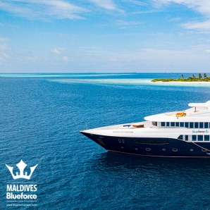 Valtiot/Malediivit/2020/Sukellus/MALEDIV-4