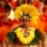 Marquesassaaret – Polynesialaista eksotiikkaa