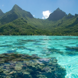 Valtiot/Ranskan_Polynesia/Paratiisihyppely/Aventura-RanskanPolynesia-Moorea