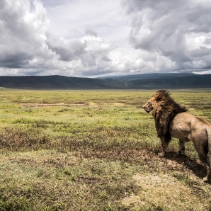 Valtiot/Tansania/2020/Aventura-Tansania-Ngorongoro9