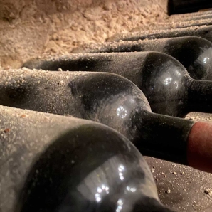 Valtiot/Uruguay/The-bottle-wine-cellar